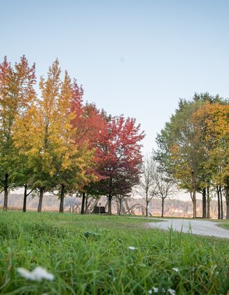 JRP_ (61 von 233).jpg | Jennifer Rath | © Kurkommission Bad Blumau