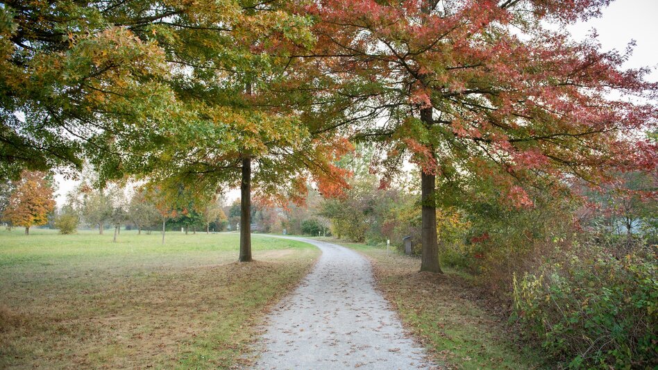 Hiking route Power Tour (Krafttour) - Touren-Impression #2.10 | © Kurkommission Bad Blumau
