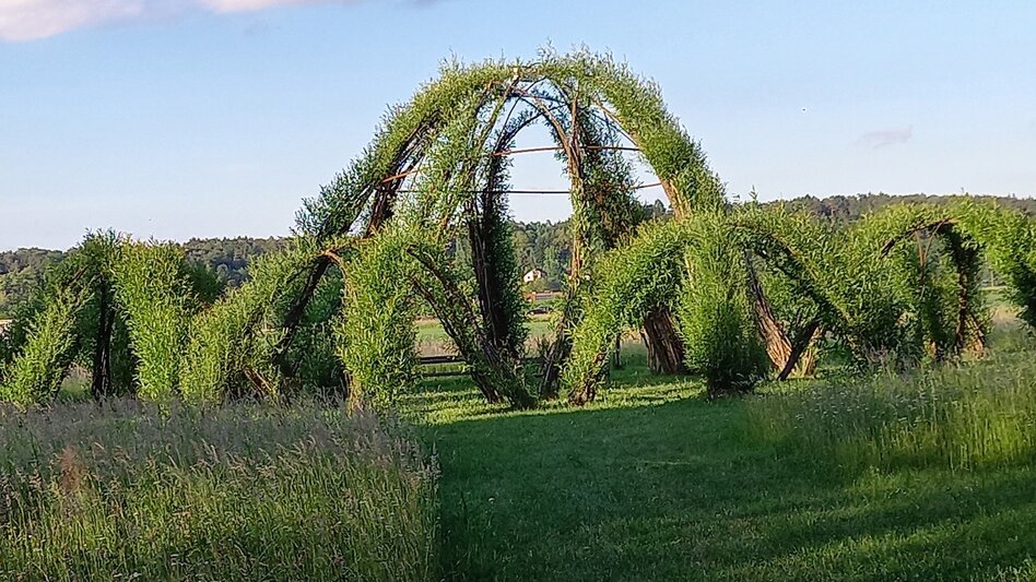 Hiking route Power Tour (Krafttour) - Touren-Impression #2.12