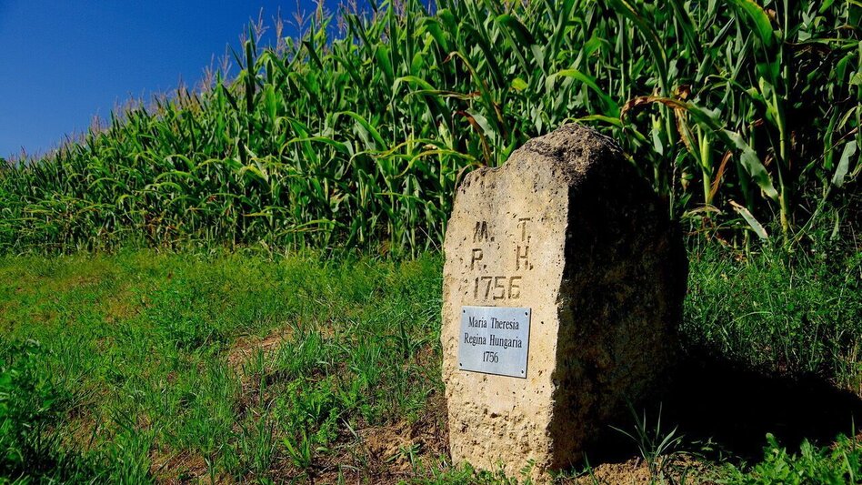 Hiking route Lautenberg & Schaufelberg circular / Trail 7 - Touren-Impression #2.5 | © Thermen- & Vulkanland
