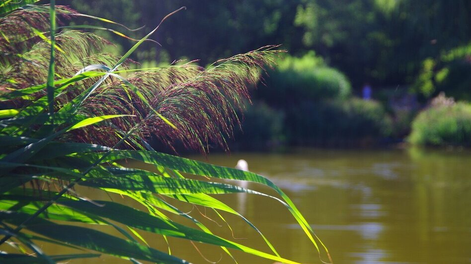 Hiking route Lautenberg & Schaufelberg circular / Trail 7 - Touren-Impression #2.6 | © Thermen- & Vulkanland