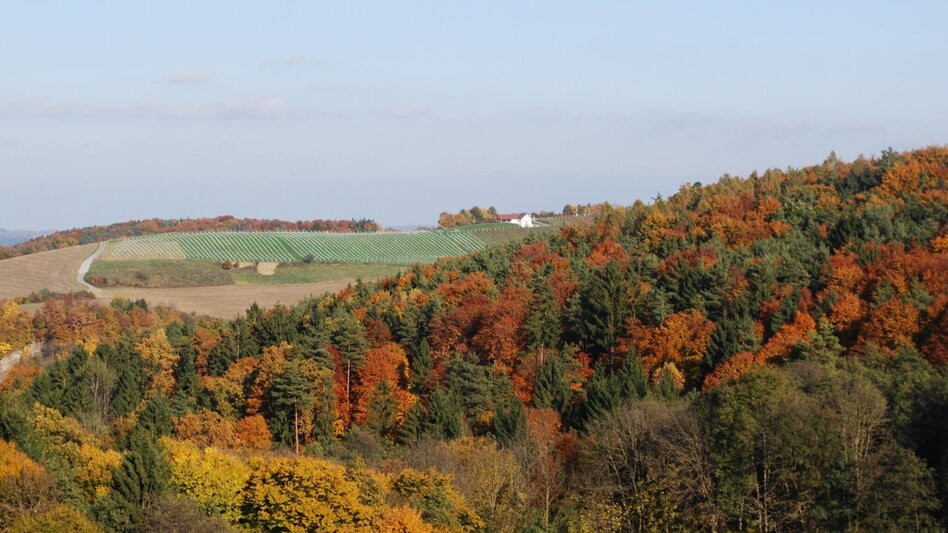 Hiking route Small altitude circuit (Kleiner Höhenrundweg) / Trail 5 - Touren-Impression #2.1 | © Thermen- & Vulkanland