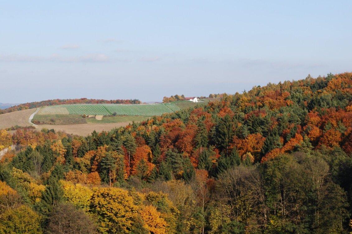 Hiking route Small altitude circuit (Kleiner Höhenrundweg) / Trail 5 - Touren-Impression #1 | © Thermen- & Vulkanland