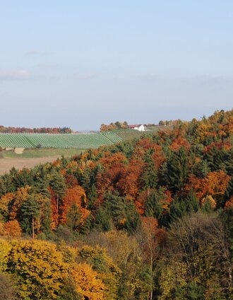 kleiner höhenrundweg / weg 5_img_14147035 | Hans Gollowitsch | © Thermen- & Vulkanland