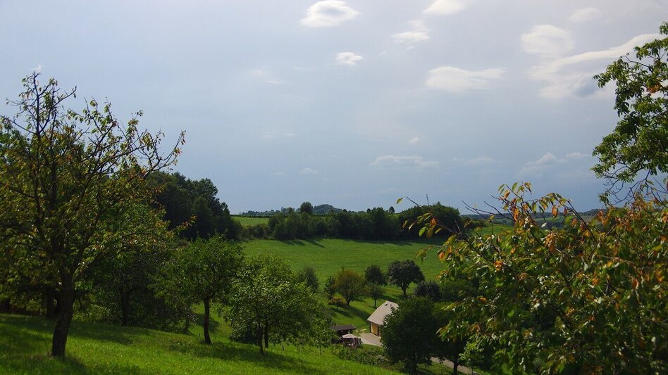 Hiking route Small altitude circuit (Kleiner Höhenrundweg) / Trail 5 - Touren-Impression #2.3 | © Thermen- & Vulkanland