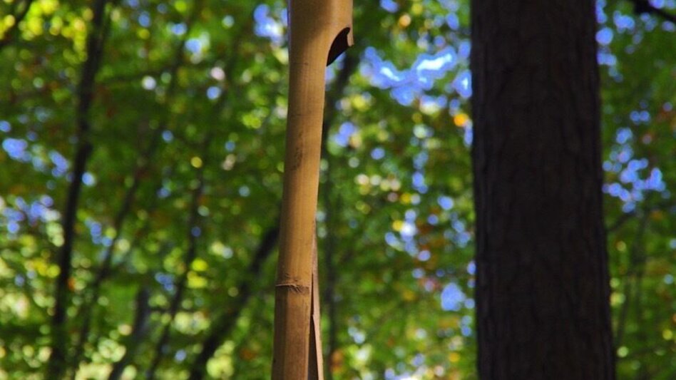 Hiking route Motor skills path (Motorikweg) - Touren-Impression #2.2 | © Thermen- & Vulkanland