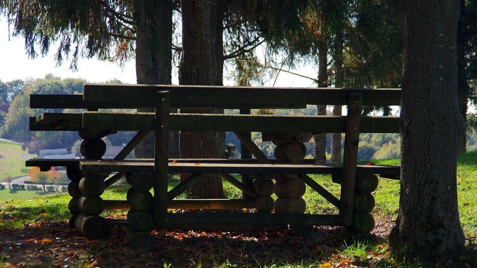 Hiking route Motor skills path (Motorikweg) - Touren-Impression #2.8 | © Thermen- & Vulkanland