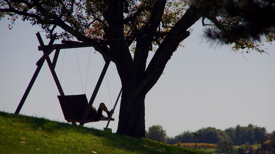 Hiking route Motor skills path (Motorikweg) - Touren-Impression #2.9 | © Thermen- & Vulkanland