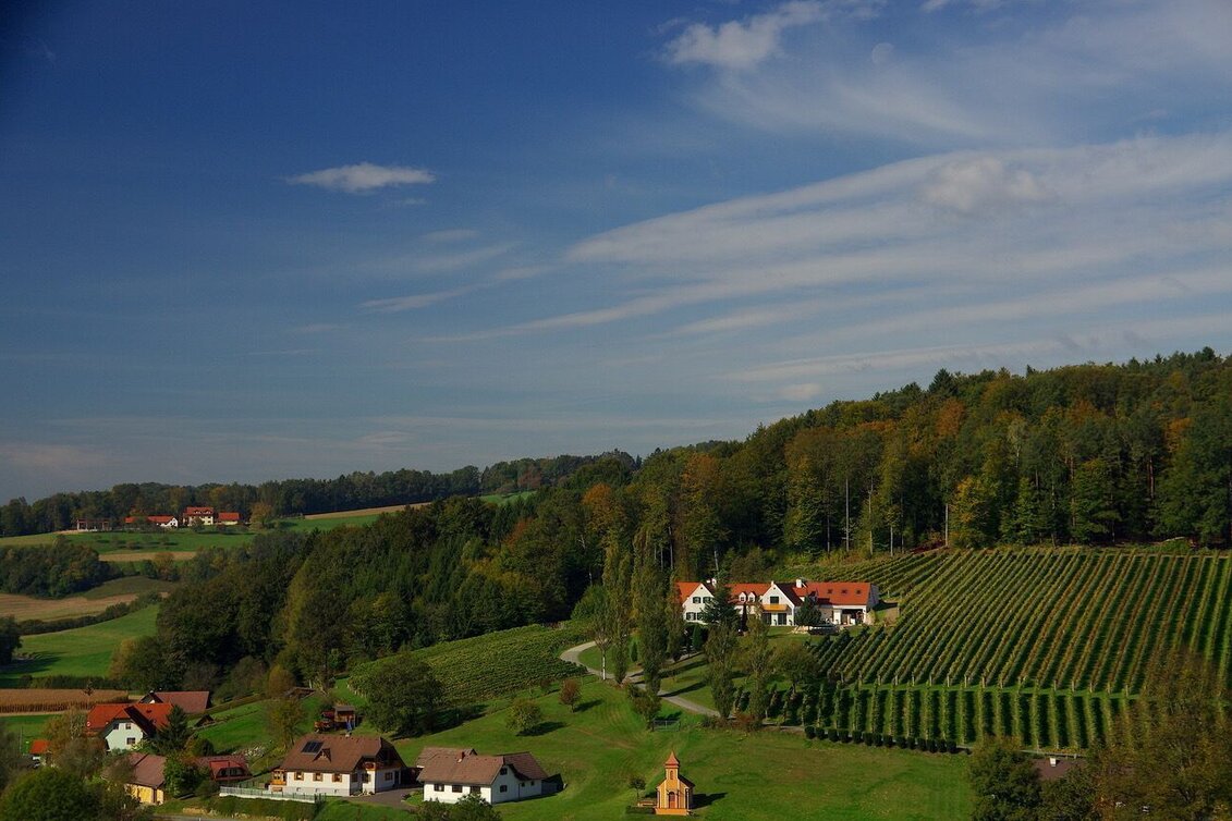 Wanderung Meilensteinweg / Weg 4 (Therme-Ort-Therme) - Touren-Impression #1 | © Thermen- & Vulkanland