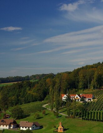 Nicht zu verkennen: Richtung STEIN gibt's WEIN | Jörg Liemandt | © Thermen- & Vulkanland