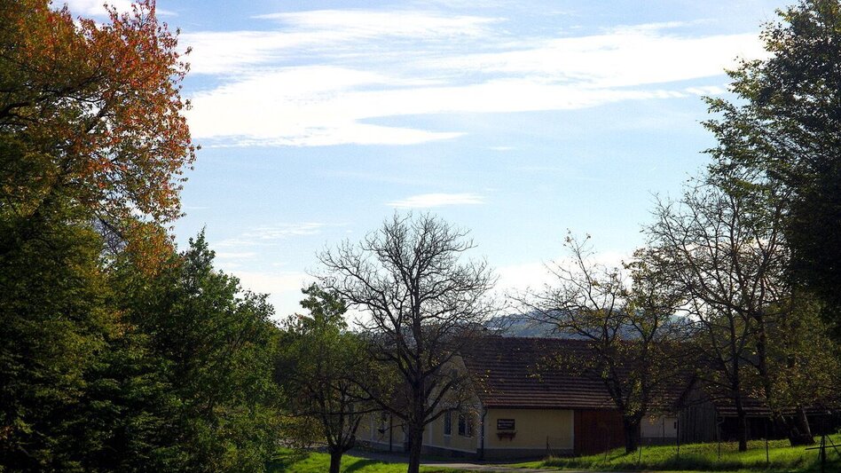 Wanderung Meilensteinweg / Weg 4 (Therme-Ort-Therme) - Touren-Impression #2.2 | © Thermen- & Vulkanland