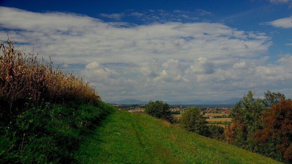 Wanderung Meilensteinweg / Weg 4 (Therme-Ort-Therme) - Touren-Impression #2.7 | © Thermen- & Vulkanland