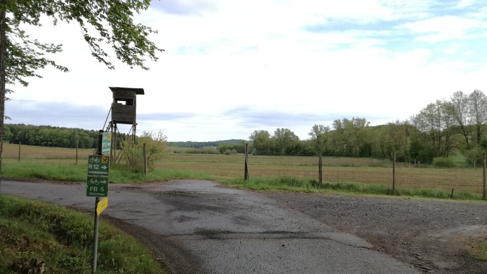 Bike Riding Thermal bath trail (Thermenradweg) - Touren-Impression #2.9 | © Thermen- & Vulkanland