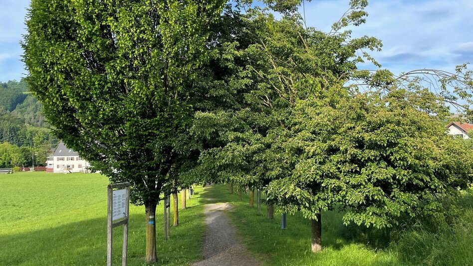 Wanderung Leutschacher Rundwanderweg - Touren-Impression #2.3 | © TV Südsteiermark