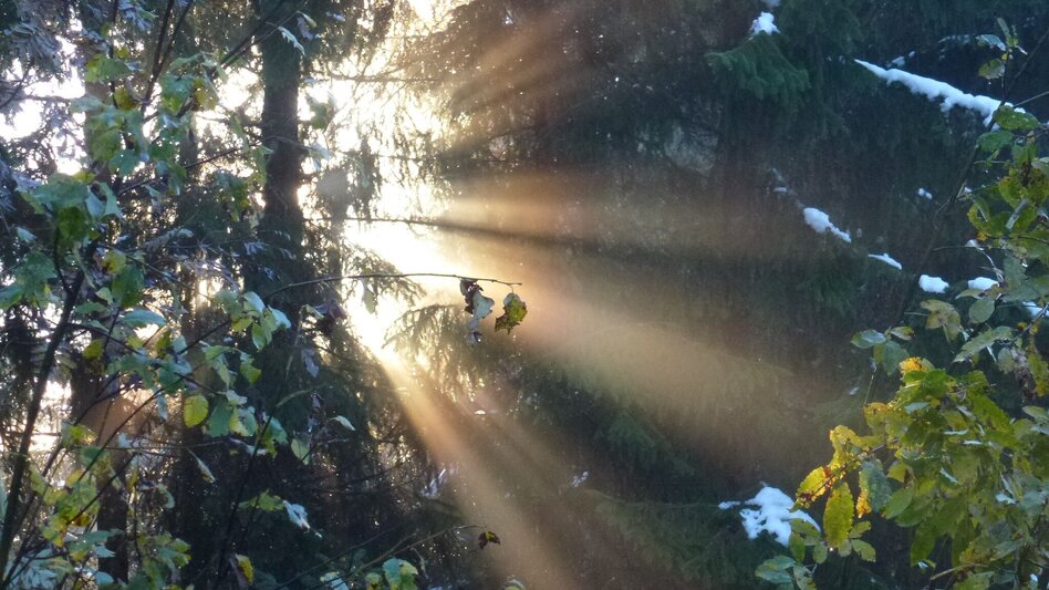 Bergtour Freienstein Rundwanderweg - Touren-Impression #2.8 | © Erlebnisregion Schladming-Dachstein