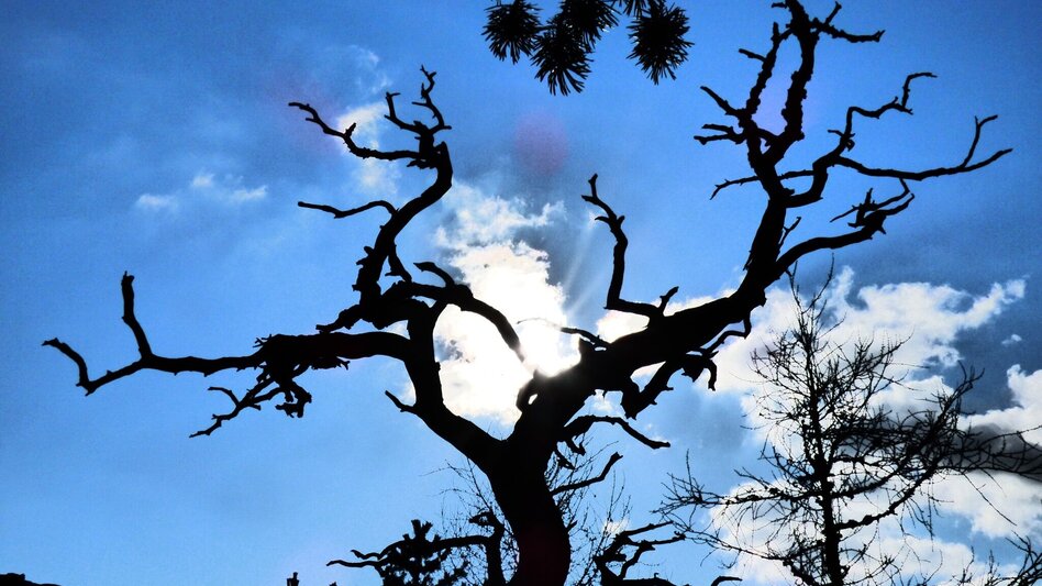 Bergtour Freienstein Rundwanderweg - Touren-Impression #2.3 | © Erlebnisregion Schladming-Dachstein