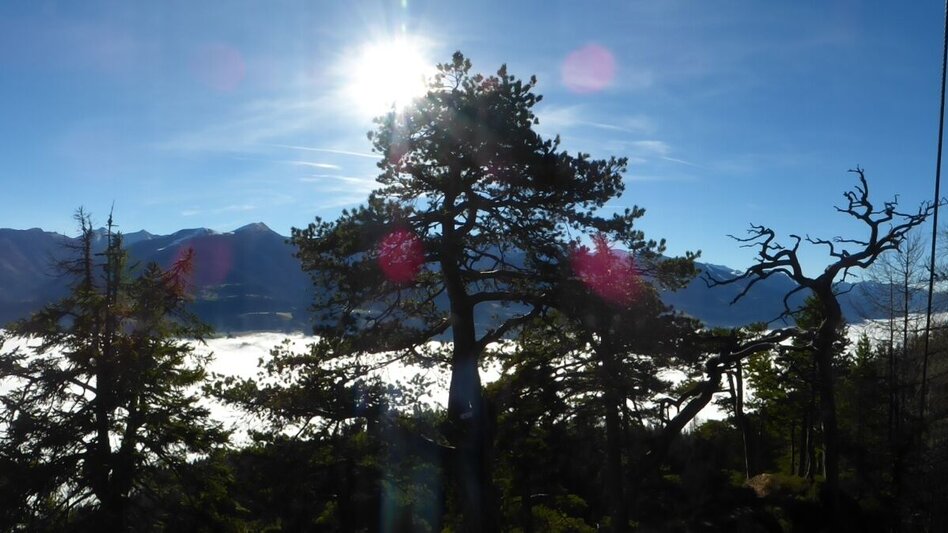 Bergtour Freienstein Rundwanderweg - Touren-Impression #2.6 | © Erlebnisregion Schladming-Dachstein