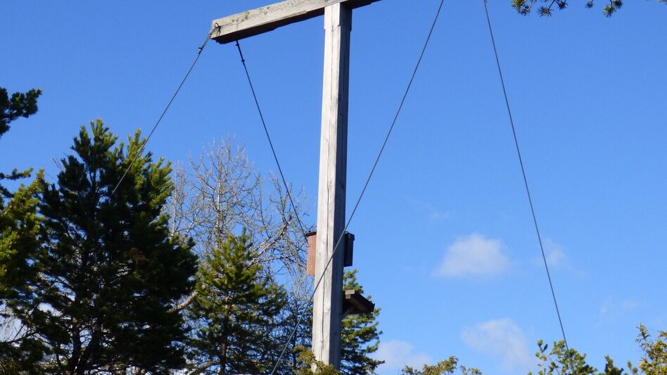 Bergtour Freienstein Rundwanderweg - Touren-Impression #2.1 | © Erlebnisregion Schladming-Dachstein