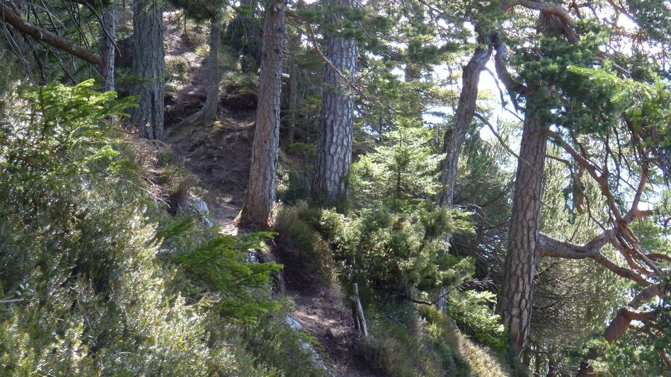 Bergtour Freienstein Rundwanderweg - Touren-Impression #2.2 | © Erlebnisregion Schladming-Dachstein