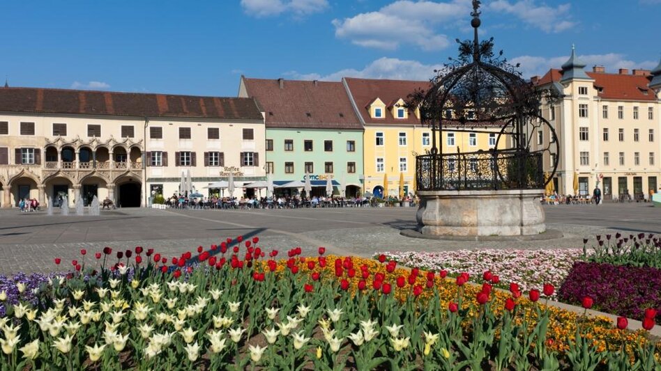 City Walking Spaziergang entlang der Mur - Touren-Impression #2.2 | © TV Hochsteiermark