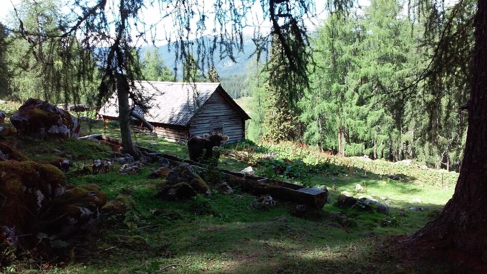 Bergtour Kammspitze - Miesbodensee - Viehbergalm - Öfen - Touren-Impression #2.9 | © Erlebnisregion Schladming-Dachstein