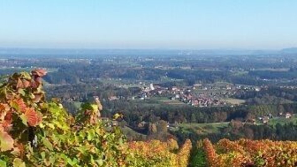 Hiking route Genuss-Schilchern DORT (short round Langegg) - Touren-Impression #2.2 | © TVB Südsteiermark/Michael Lang