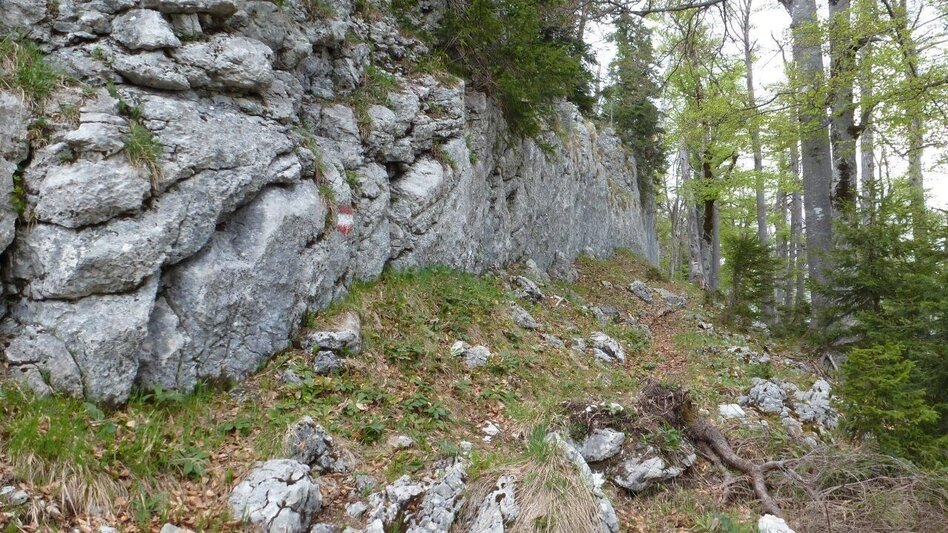 Bergtour Fachwerk - Hochkar (Wadlbeissertour) - Touren-Impression #2.2 | © Tourismusverband Wildalpen