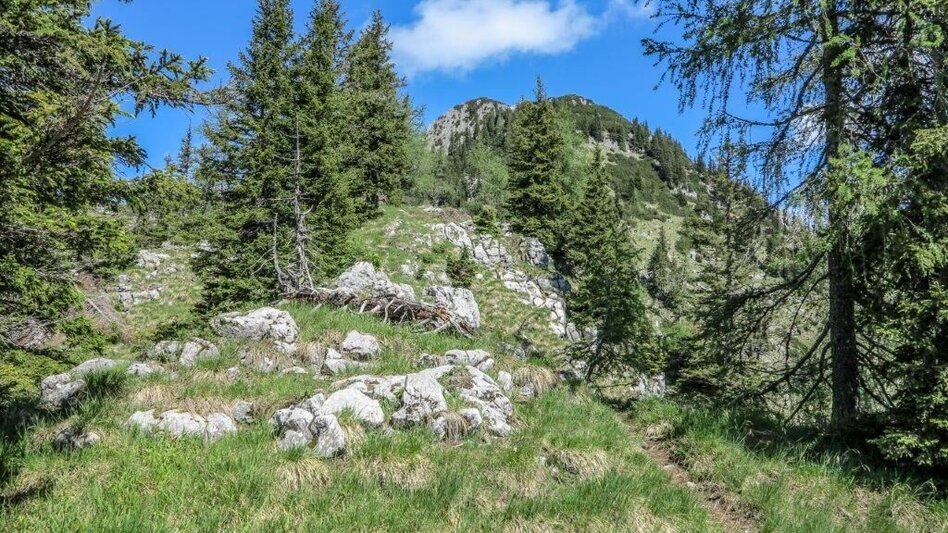 Bergtour Fachwerk - Hochkar (Wadlbeissertour) - Touren-Impression #2.8 | © TV Gesäuse