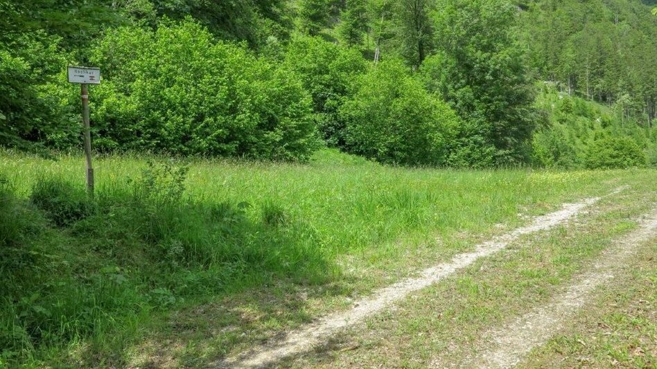 Bergtour Fachwerk - Hochkar (Wadlbeissertour) - Touren-Impression #2.11 | © TV Gesäuse