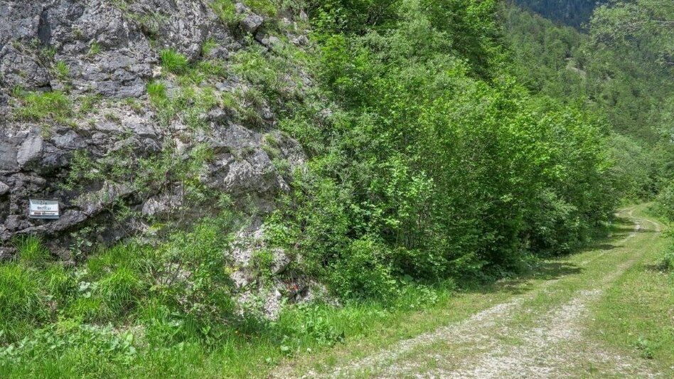 Bergtour Fachwerk - Hochkar (Wadlbeissertour) - Touren-Impression #2.12 | © TV Gesäuse