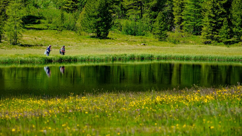 Genusswege Zirbenwaldrunde - Touren-Impression #2.2 | © Erlebnisregion Murtal