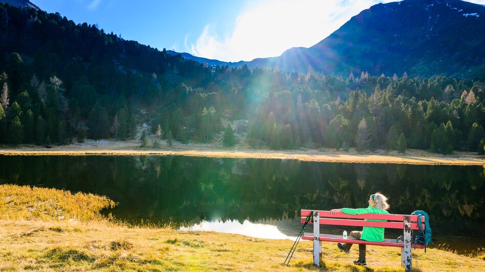 Genusswege Zirbenwaldrunde - Touren-Impression #2.3 | © Erlebnisregion Murtal