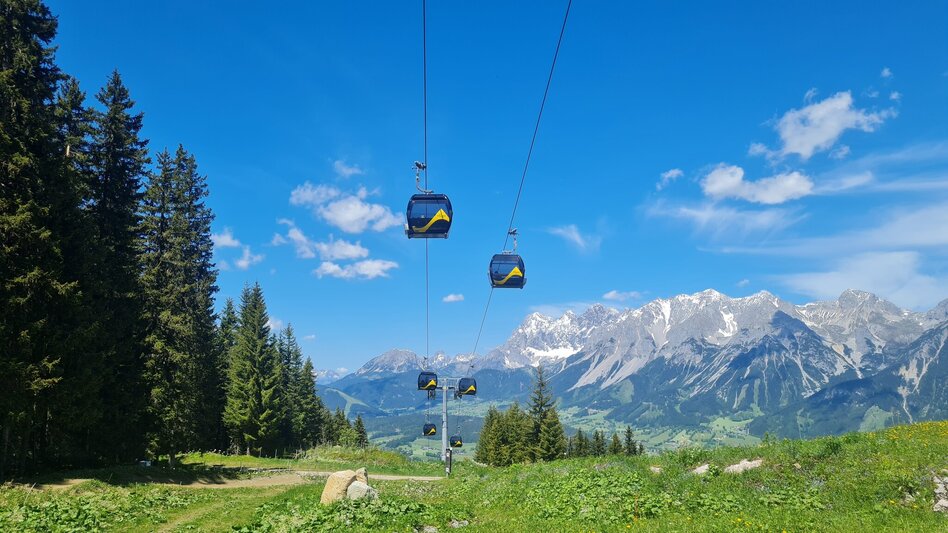 Wanderung WM-Pfad Planai - Touren-Impression #2.6 | © Planai Hochwurzen Bahnen GmbH