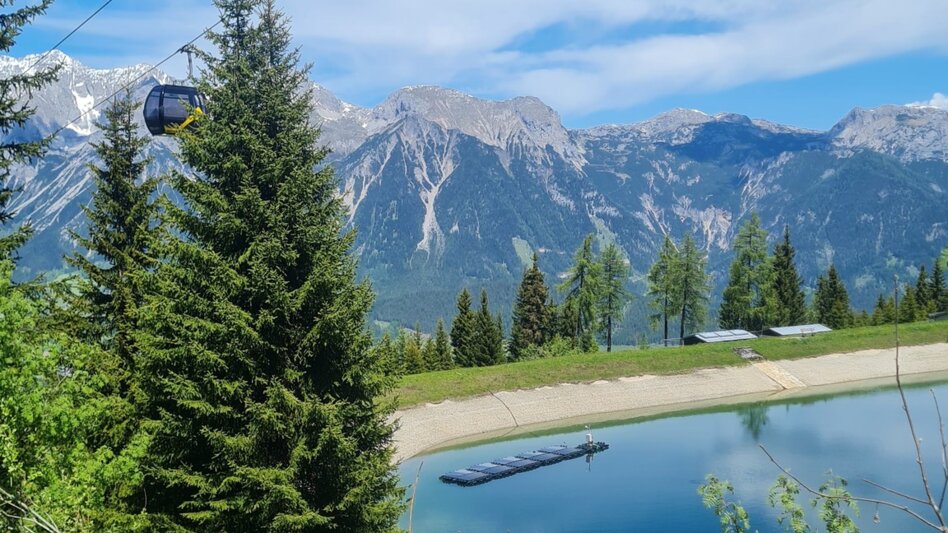 Wanderung WM-Pfad Planai - Touren-Impression #2.7 | © Planai Hochwurzen Bahnen GmbH