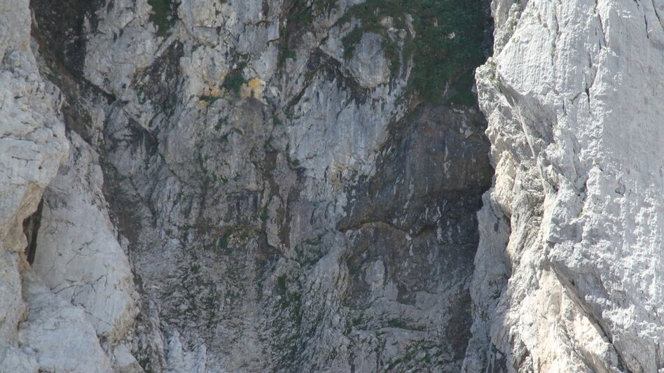 Bergtour Am Fuße des mächtigen Grimmings - Touren-Impression #2.5 | © Erlebnisregion Schladming-Dachstein