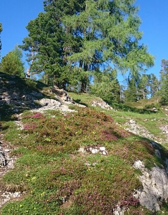 stoderzinken 2.048m, ausgangspunkt gröbming_img_14460071 | Schladming Dachstein | © Erlebnisregion Schladming-Dachstein