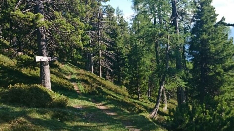 Wanderung Stoderzinken 2.048m, Ausgangspunkt Gröbming - Touren-Impression #2.5 | © Erlebnisregion Schladming-Dachstein
