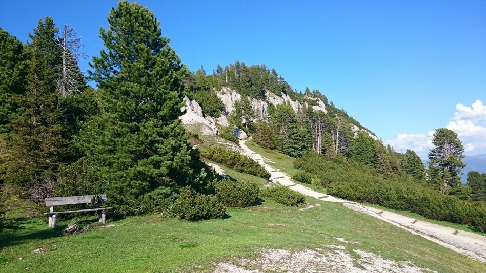 Wanderung Stoderzinken 2.048m, Ausgangspunkt Gröbming - Touren-Impression #2.8 | © Erlebnisregion Schladming-Dachstein