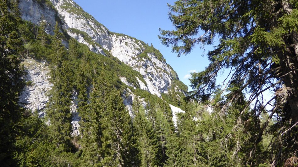 Wanderung Stoderzinken 2.048m, Ausgangspunkt Gröbming - Touren-Impression #2.12 | © Erlebnisregion Schladming-Dachstein