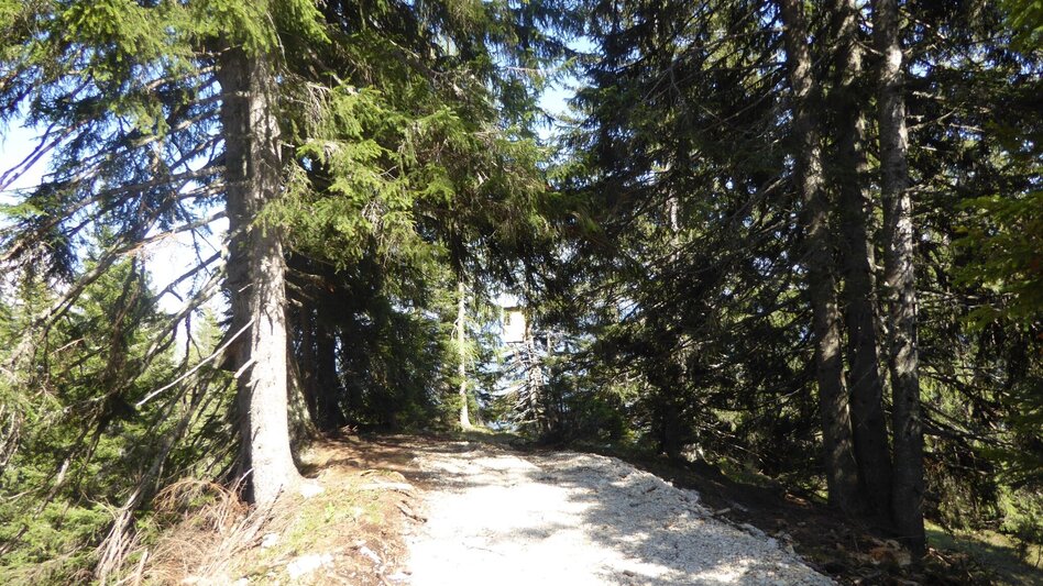 Wanderung Stoderzinken 2.048m, Ausgangspunkt Gröbming - Touren-Impression #2.13 | © Erlebnisregion Schladming-Dachstein
