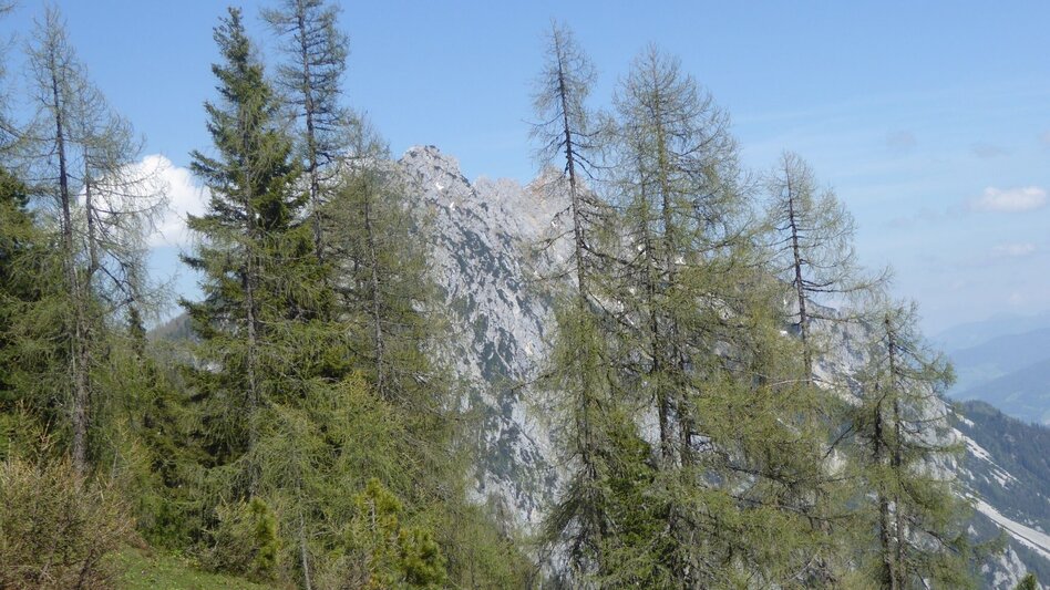 Wanderung Stoderzinken 2.048m, Ausgangspunkt Gröbming - Touren-Impression #2.15 | © Erlebnisregion Schladming-Dachstein