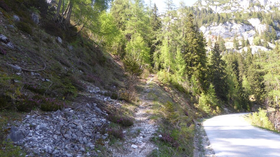 Wanderung Stoderzinken 2.048m, Ausgangspunkt Gröbming - Touren-Impression #2.17 | © Erlebnisregion Schladming-Dachstein