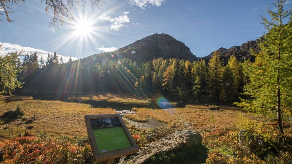 Wanderung Stille Wasser - Wanderung zum Untersee - Touren-Impression #2.7 | © Gerhard Pilz - www.gpic.at