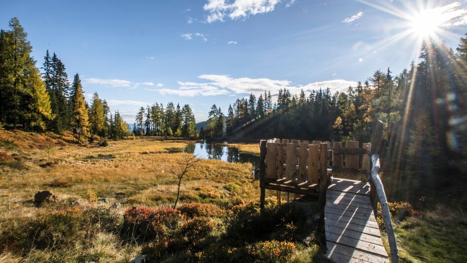 Wanderung Stille Wasser - Wanderung zum Untersee - Touren-Impression #2.8 | © Gerhard Pilz - www.gpic.at