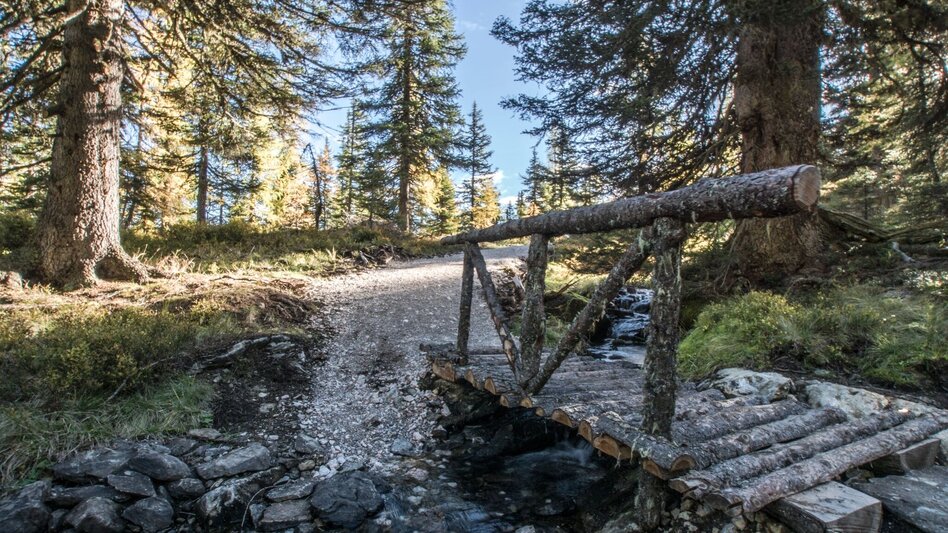 Wanderung Stille Wasser - Wanderung zum Untersee - Touren-Impression #2.9 | © Gerhard Pilz - www.gpic.at