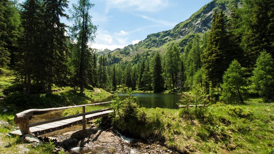 Wanderung Stille Wasser - Wanderung zum Untersee - Touren-Impression #2.10 | © Gerhard Pilz