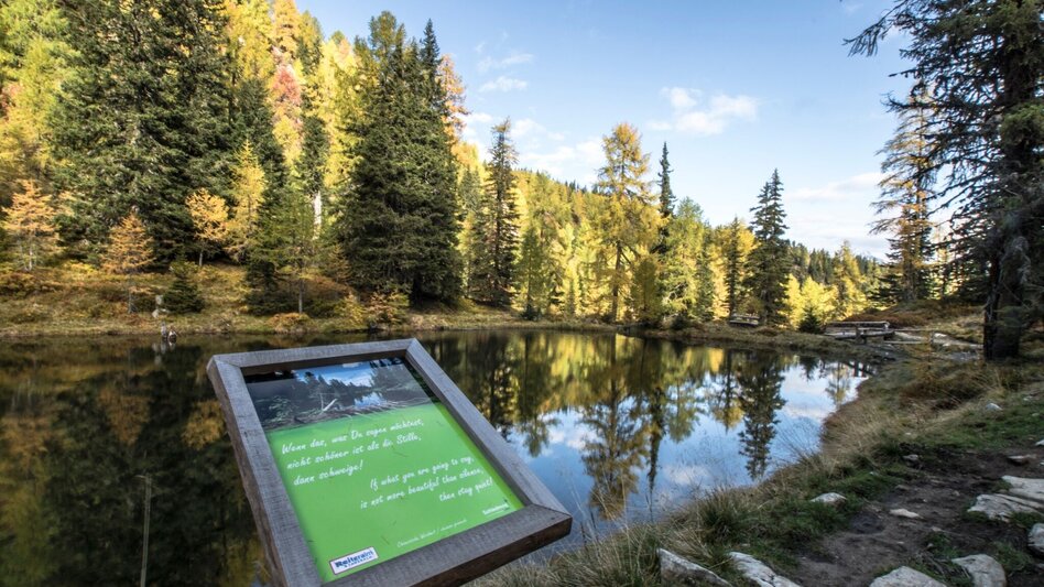Wanderung Stille Wasser - Wanderung zum Untersee - Touren-Impression #2.12 | © Gerhard Pilz - www.gpic.at