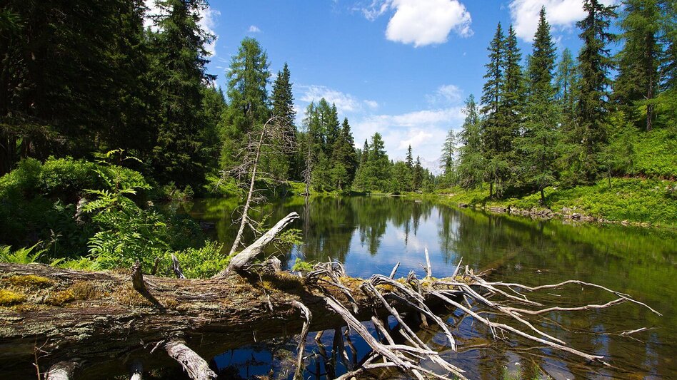 Wanderung Stille Wasser - Wanderung zum Untersee - Touren-Impression #2.13 | © Andy Kocher