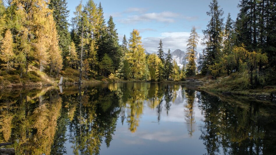 Wanderung Stille Wasser - Wanderung zum Untersee - Touren-Impression #2.14 | © Gerhard Pilz - www.gpic.at