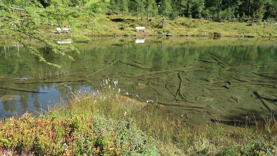 Wanderung Stille Wasser - Wanderung zum Untersee - Touren-Impression #2.17 | © Sigrid Hutegger